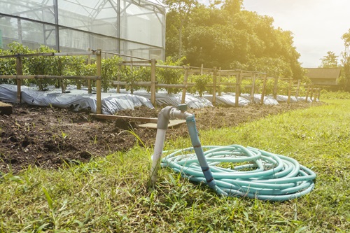 Irrigation-concept-with-a-pipe-on-a-crop-foundation