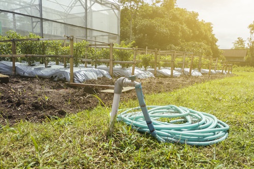 Concept-d-irrigation-Grue-avec-un-tuyau-sur-fond-de-culture