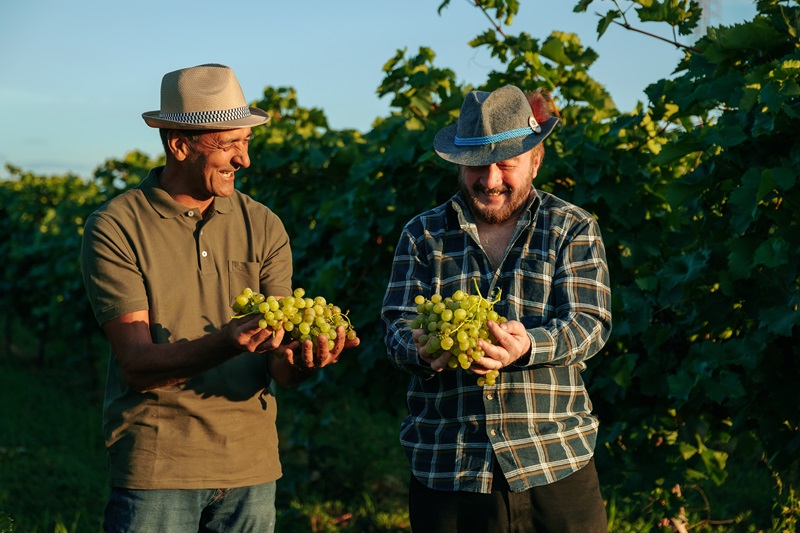 vignerons-avec-grappes-de-raisins-dans-les-mains-1